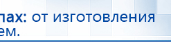 СКЭНАР-1-НТ (исполнение 02.1) Скэнар Про Плюс купить в Невьянске, Аппараты Скэнар купить в Невьянске, Дэнас официальный сайт denasdoctor.ru